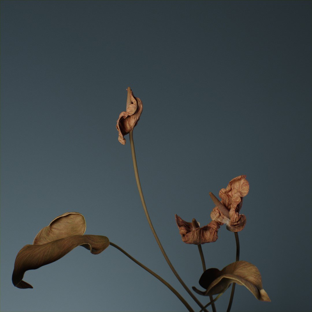 LAB Archive — frame 33